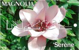 MAGNOLIA Serene