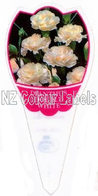 DIANTHUS Double White - Click Image to Close