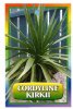 CORDYLINE Kirkii