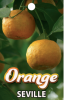 ORANGE Seville