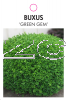 BUXUS Green Gem