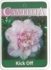 CAMELLIA Kick Off