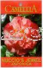 CAMELLIA Nuccios Jewel Japonica