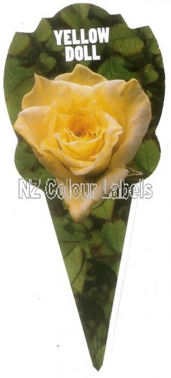 ROSE MINIATURE Yellow Doll - Click Image to Close