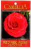 CAMELLIA Red Red Rose