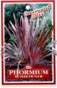 PHORMIUM Sundowner